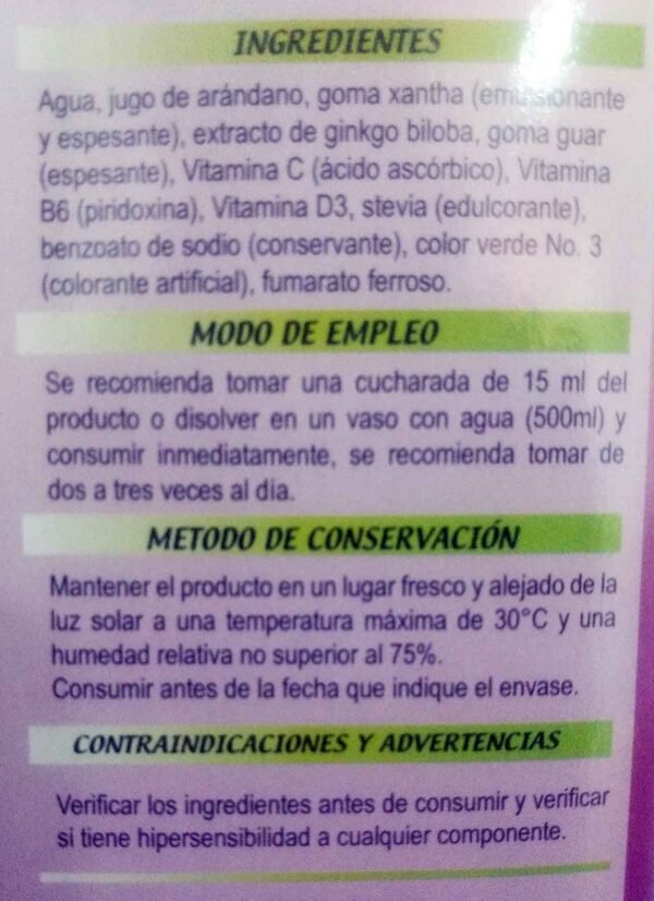 Extracto Ginkgo Biloba Arandanos 380 ml